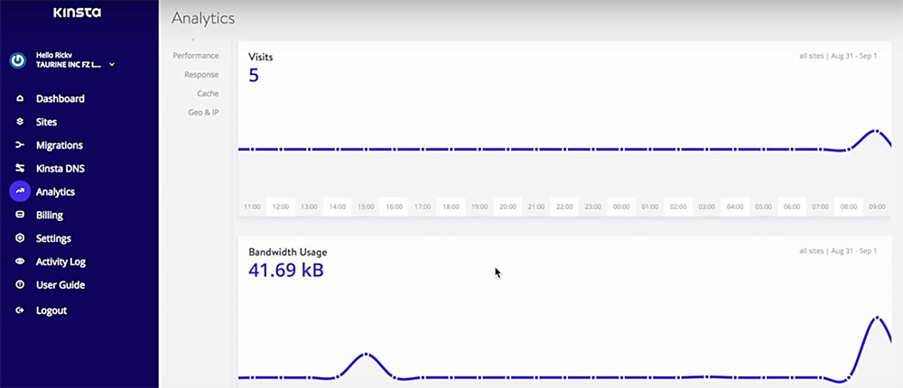 kinsta analitycs